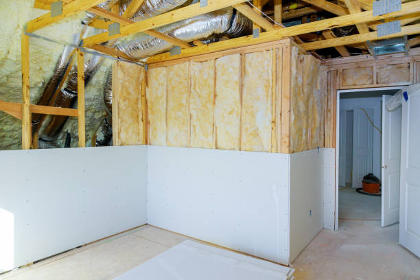 Best Insulation for New Construction  in Plainwell, MI