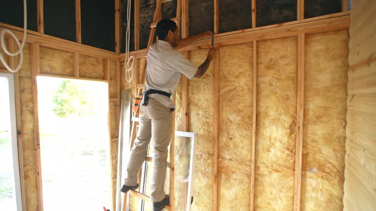 Best Fireproof Insulation  in Plainwell, MI